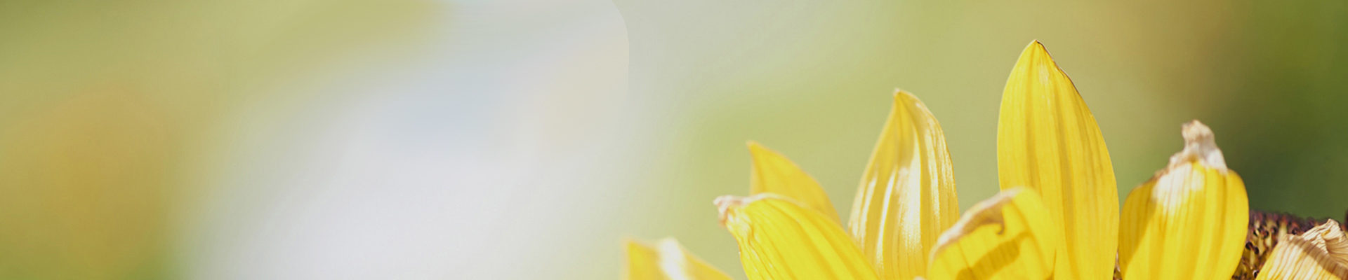 這(zhè)是(shì)描述信息